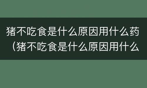猪不吃食是什么原因用什么药（猪不吃食是什么原因用什么药好）