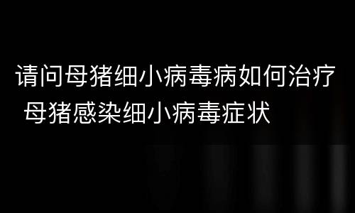 请问母猪细小病毒病如何治疗 母猪感染细小病毒症状