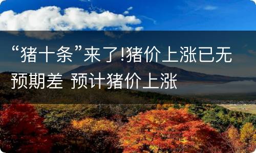 “猪十条”来了!猪价上涨已无预期差 预计猪价上涨