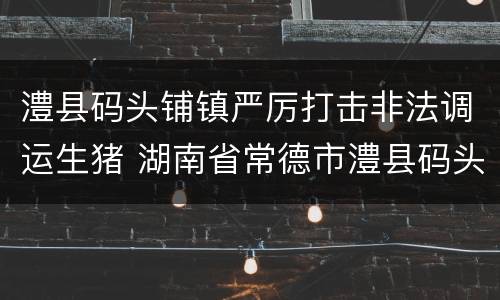 澧县码头铺镇严厉打击非法调运生猪 湖南省常德市澧县码头铺镇