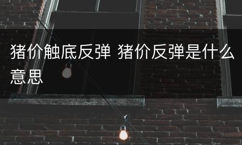 猪价触底反弹 猪价反弹是什么意思