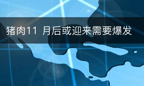 猪肉11 月后或迎来需要爆发