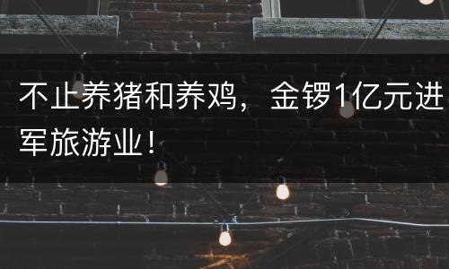 不止养猪和养鸡，金锣1亿元进军旅游业！