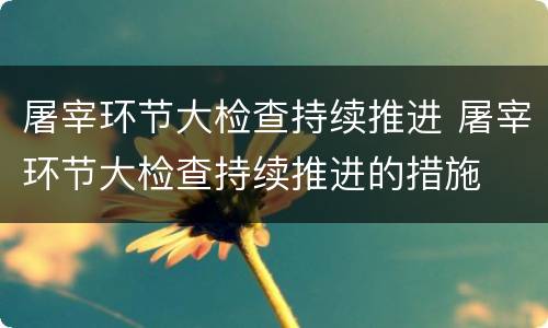屠宰环节大检查持续推进 屠宰环节大检查持续推进的措施