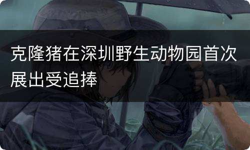 克隆猪在深圳野生动物园首次展出受追捧