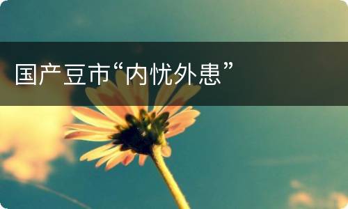 国产豆市“内忧外患”