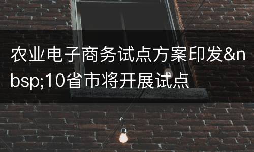 农业电子商务试点方案印发&nbsp;10省市将开展试点