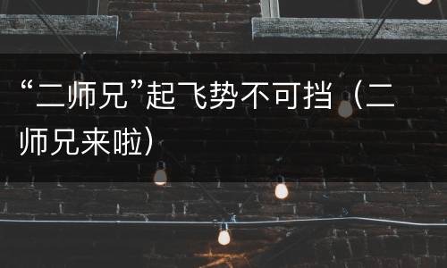 “二师兄”起飞势不可挡（二师兄来啦）