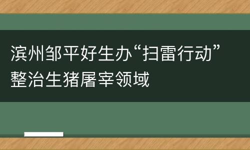 滨州邹平好生办“扫雷行动”整治生猪屠宰领域