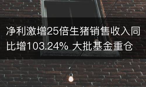净利激增25倍生猪销售收入同比增103.24% 大批基金重仓