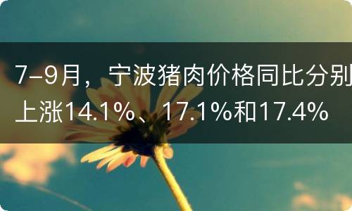7-9月，宁波猪肉价格同比分别上涨14.1%、17.1%和17.4%