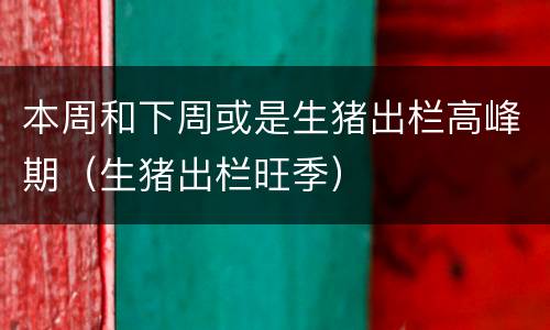 本周和下周或是生猪出栏高峰期（生猪出栏旺季）