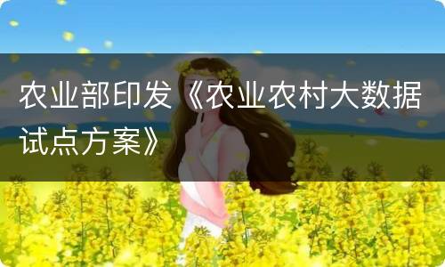 农业部印发《农业农村大数据试点方案》
