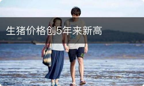 生猪价格创5年来新高