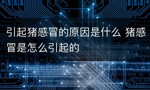 引起猪感冒的原因是什么 猪感冒是怎么引起的