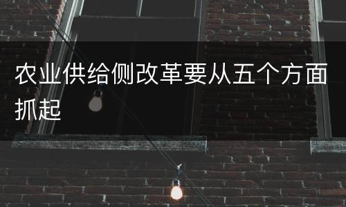 农业供给侧改革要从五个方面抓起