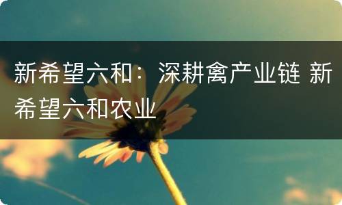 新希望六和：深耕禽产业链 新希望六和农业