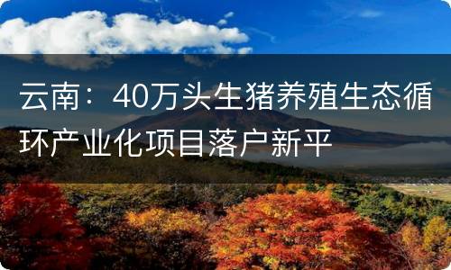 云南：40万头生猪养殖生态循环产业化项目落户新平