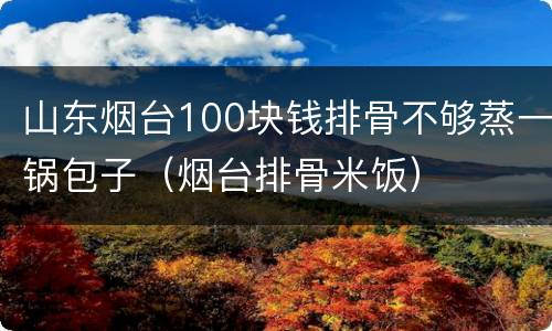 山东烟台100块钱排骨不够蒸一锅包子（烟台排骨米饭）