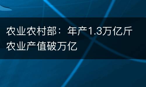 农业农村部：年产1.3万亿斤 农业产值破万亿