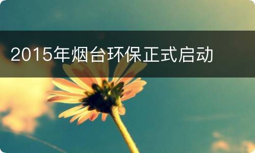 2015年烟台环保正式启动
