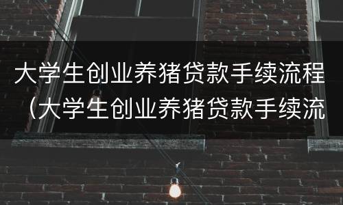 大学生创业养猪贷款手续流程（大学生创业养猪贷款手续流程图）