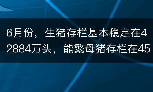 6月份，生猪存栏基本稳定在42884万头，能繁母猪存栏在4593万头