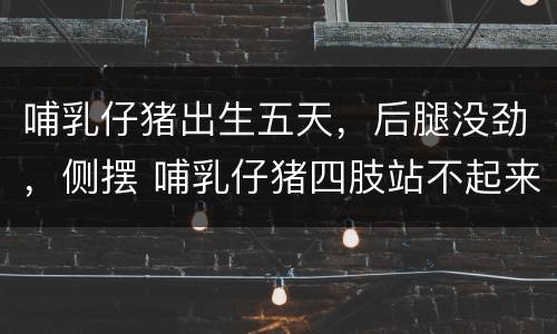 哺乳仔猪出生五天，后腿没劲，侧摆 哺乳仔猪四肢站不起来