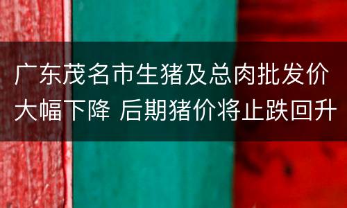 广东茂名市生猪及总肉批发价大幅下降 后期猪价将止跌回升