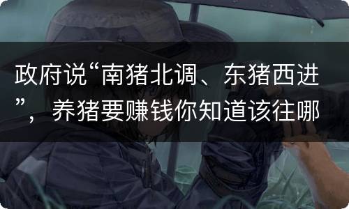 政府说“南猪北调、东猪西进”，养猪要赚钱你知道该往哪走了吧