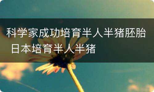 科学家成功培育半人半猪胚胎 日本培育半人半猪