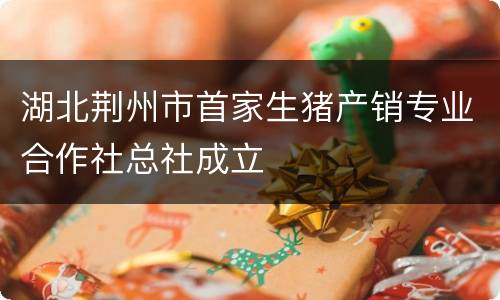 湖北荆州市首家生猪产销专业合作社总社成立