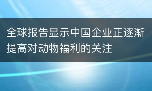 全球报告显示中国企业正逐渐提高对动物福利的关注