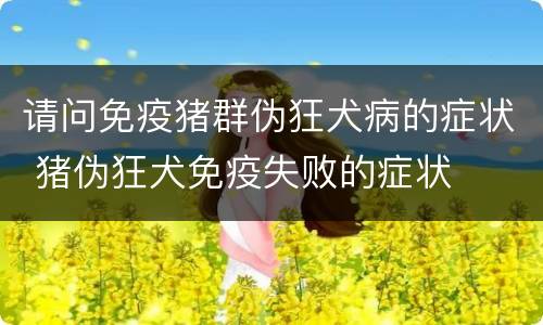 请问免疫猪群伪狂犬病的症状 猪伪狂犬免疫失败的症状