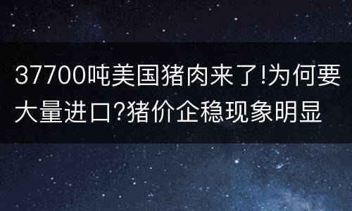 37700吨美国猪肉来了!为何要大量进口?猪价企稳现象明显