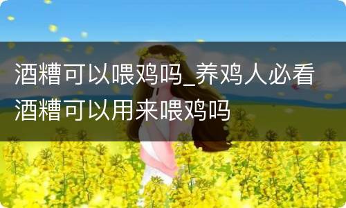 酒糟可以喂鸡吗_养鸡人必看 酒糟可以用来喂鸡吗