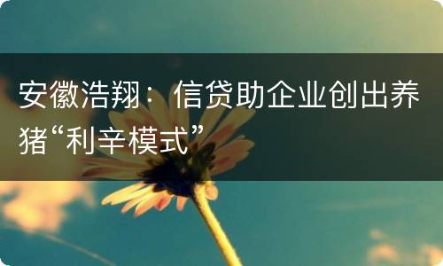 安徽浩翔：信贷助企业创出养猪“利辛模式”