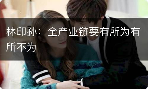 林印孙：全产业链要有所为有所不为