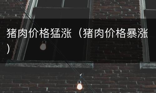 猪肉价格猛涨（猪肉价格暴涨）