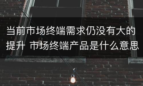 当前市场终端需求仍没有大的提升 市场终端产品是什么意思