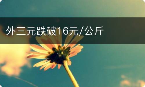 外三元跌破16元/公斤