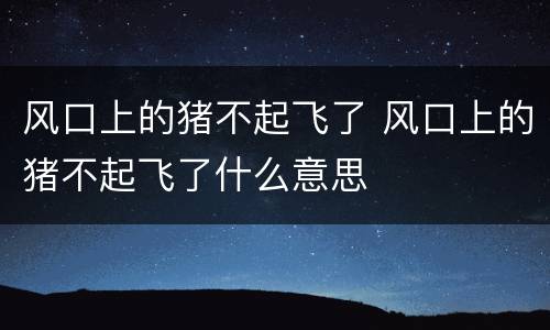 风口上的猪不起飞了 风口上的猪不起飞了什么意思