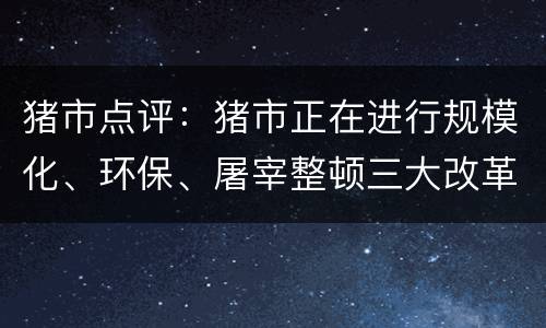 猪市点评：猪市正在进行规模化、环保、屠宰整顿三大改革