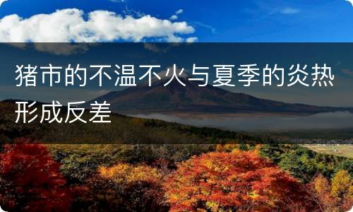 猪市的不温不火与夏季的炎热形成反差