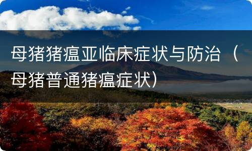 母猪猪瘟亚临床症状与防治（母猪普通猪瘟症状）