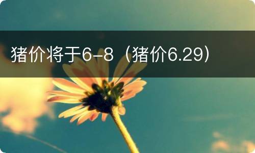 猪价将于6-8（猪价6.29）