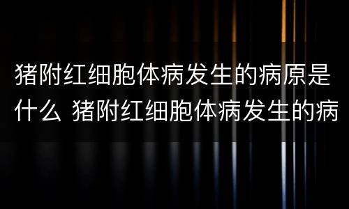 猪附红细胞体病发生的病原是什么 猪附红细胞体病发生的病原是什么