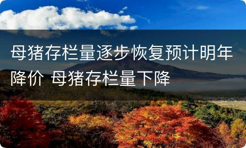 母猪存栏量逐步恢复预计明年降价 母猪存栏量下降