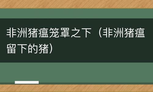 非洲猪瘟笼罩之下（非洲猪瘟留下的猪）