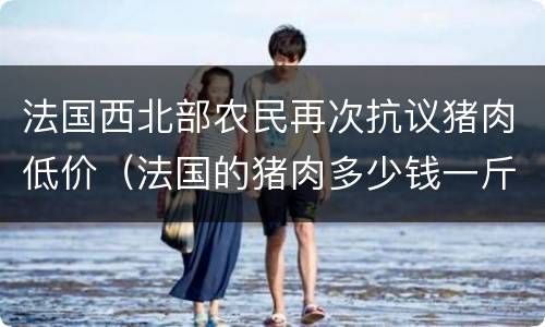 法国西北部农民再次抗议猪肉低价（法国的猪肉多少钱一斤）